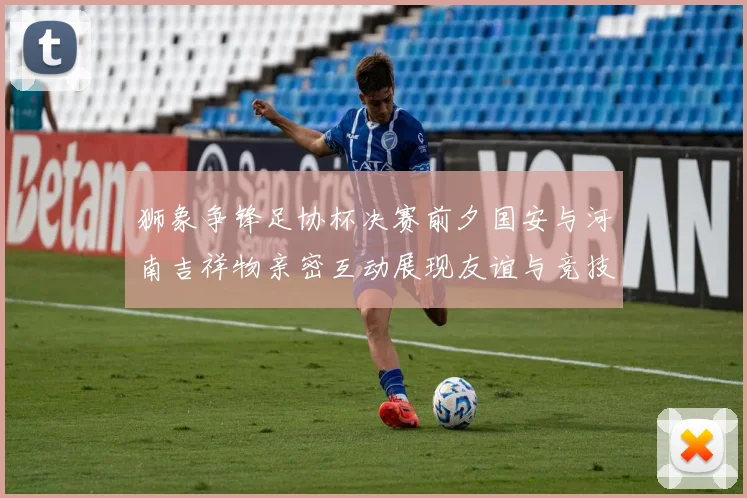 狮象争锋足协杯决赛前夕国安与河南吉祥物亲密互动展现友谊与竞技精神
