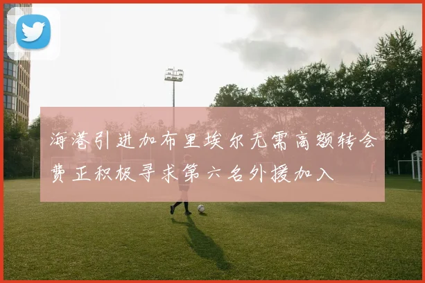 海港引进加布里埃尔无需高额转会费正积极寻求第六名外援加入